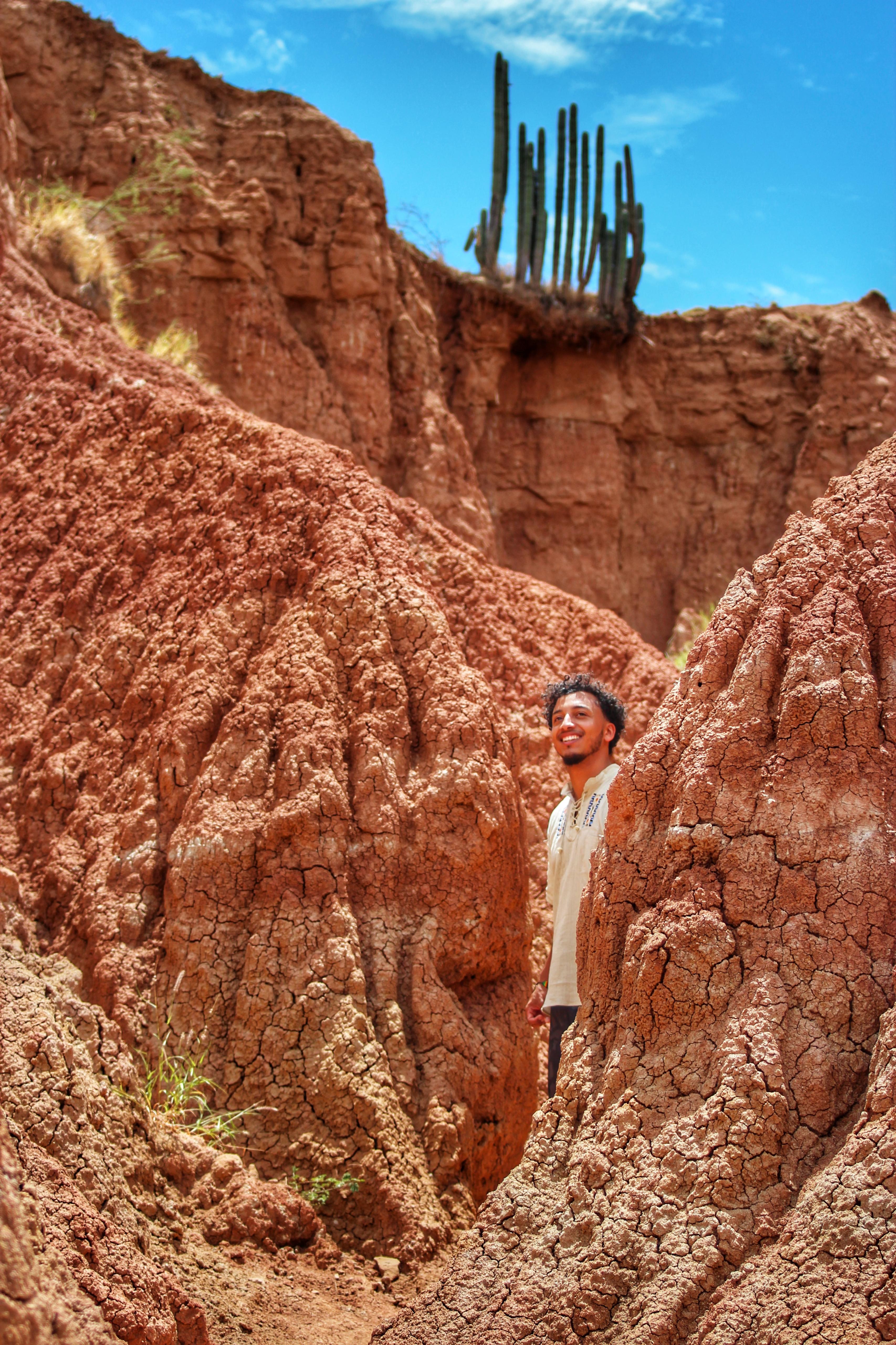 Joran dans le désert rouge, cactus